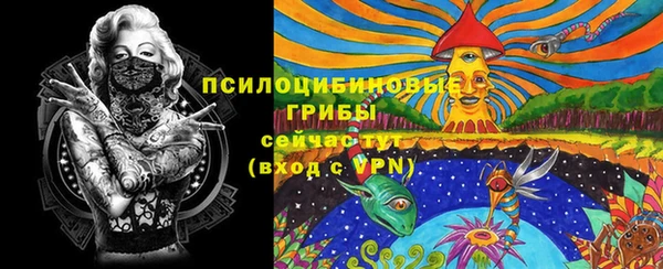 не бодяженный Бородино