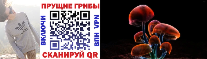 Псилоцибиновые грибы мицелий  Кашира 